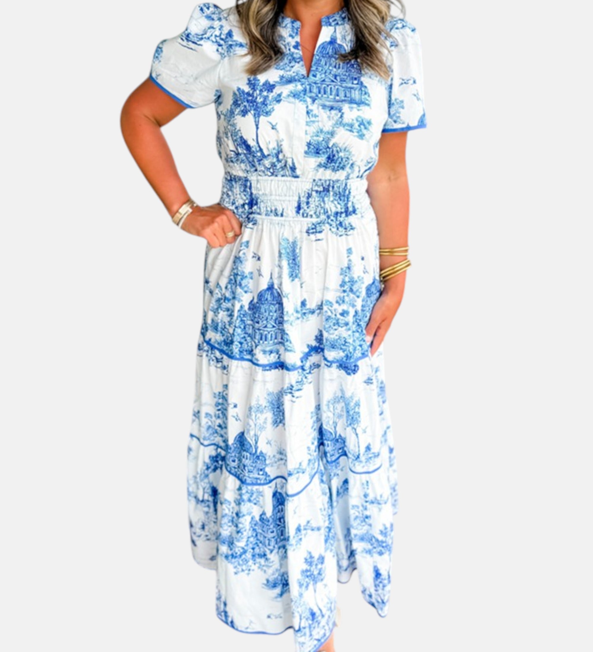 Alejandra - Vestido largo clásico con estampado toile