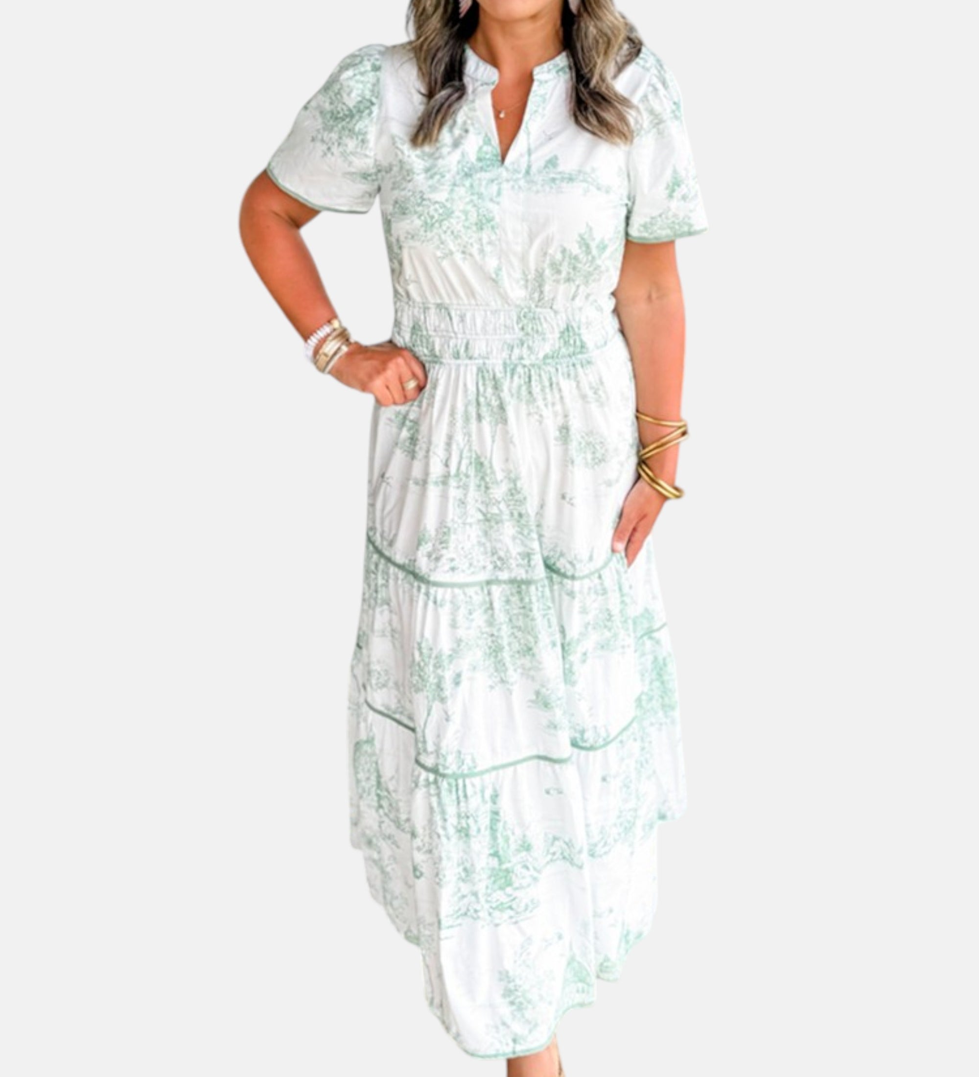 Alejandra - Vestido largo clásico con estampado toile