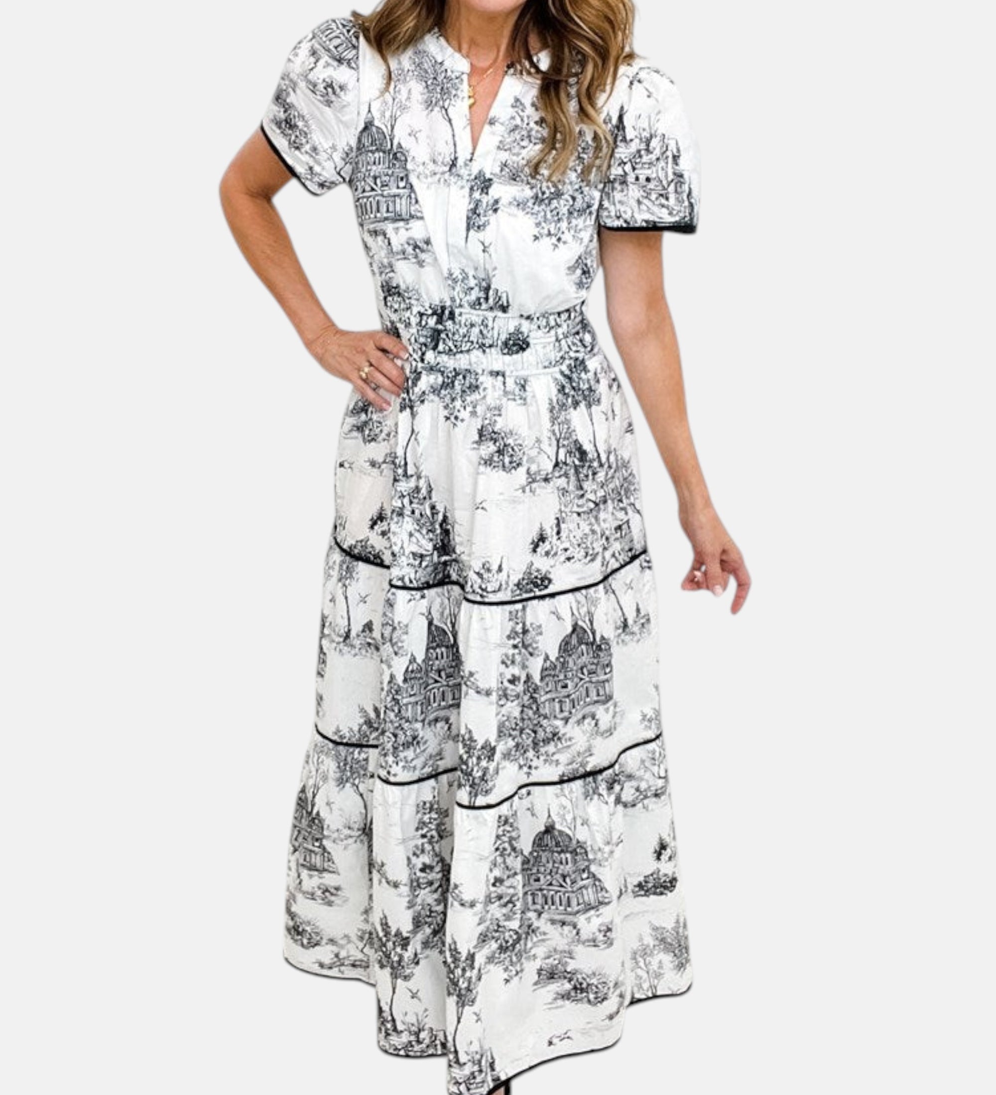 Alejandra - Vestido largo clásico con estampado toile